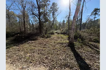 Tbd Little Lane, Shepherd, TX 77371 - Photo 3