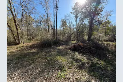 Tbd Little Lane, Shepherd, TX 77371 - Photo 1