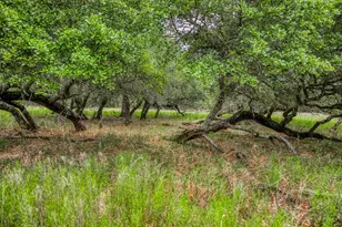 Tbd Cr 125, Hallettsville, TX 77964 - Photo 17