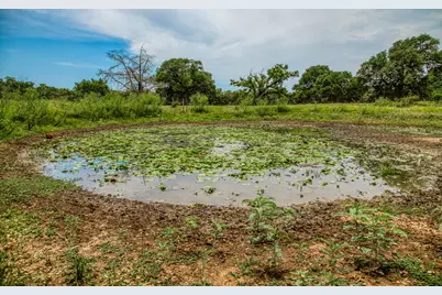 Tbd Cr 125, Hallettsville, TX 77964 - Photo 9