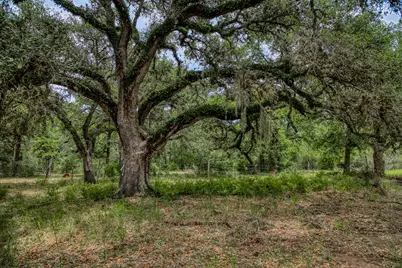 Tbd Cr 125, Hallettsville, TX 77964 - Photo 7