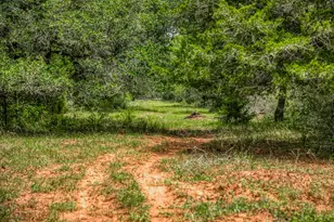 Tbd Cr 125, Hallettsville, TX 77964 - Photo 11