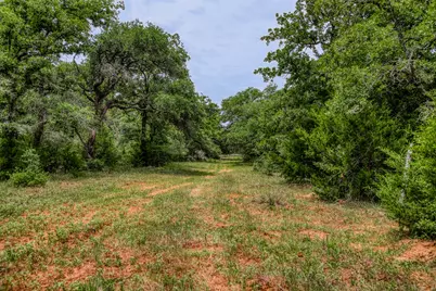 Tbd Cr 125, Hallettsville, TX 77964 - Photo 3