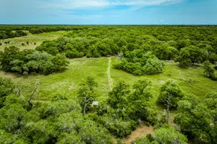 Tbd Cr 125, Hallettsville, TX 77964 - Photo 27