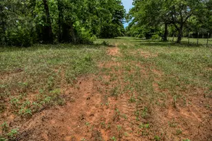 Tbd Cr 125, Hallettsville, TX 77964 - Photo 23
