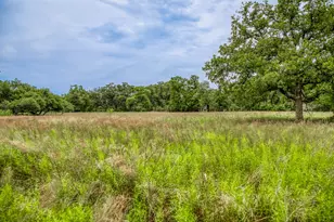 Tbd Cr 125, Hallettsville, TX 77964 - Photo 1