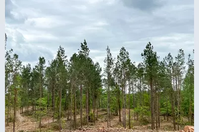 05 Cr 2145, Crockett, TX 75835 - Photo 5