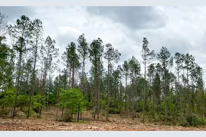 05 Cr 2145, Crockett, TX 75835 - Photo 3