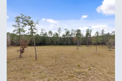 Tbd Lot 3 Fm 3152 Road, Livingston, TX 77351 - Photo 13