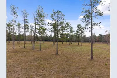 Tbd Lot 3 Fm 3152 Road, Livingston, TX 77351 - Photo 1