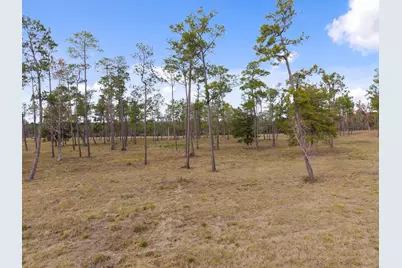 Tbd Lot 3 Fm 3152 Road, Livingston, TX 77351 - Photo 33