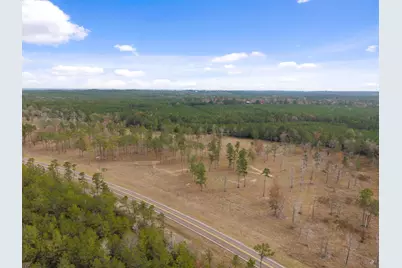 Tbd Lot 3 Fm 3152 Road, Livingston, TX 77351 - Photo 17