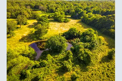Tbd Waller Road, North Zulch, TX 77872 - Photo 9