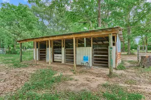 88 Piney Point Rd, Huntsville, TX 77340 - Photo 15