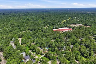 37 Treescape Cir, The Woodlands, TX 77381 - Photo 29