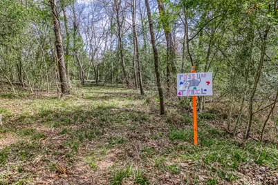 10822 N Korthauer, Bellville, TX 77418 - Photo 39