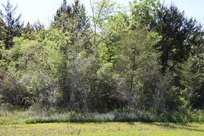 0 Wooded Reserve Court, Washington, TX 77880 - Photo 5