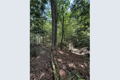 220 W Lake Shore Drive, Livingston, TX 77351 - Photo 9