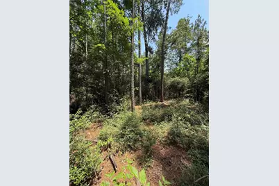 220 W Lake Shore Drive, Livingston, TX 77351 - Photo 7