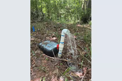 220 W Lake Shore Drive, Livingston, TX 77351 - Photo 13