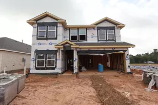 30610 Johnson Alley, Magnolia, TX 77355 - Photo 3
