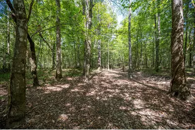 Tbd County Road 4520, Warren, TX 77664 - Photo 5