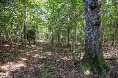 Tbd County Road 4520, Warren, TX 77664 - Photo 3