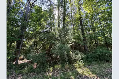 16 Forrest Hollow, Trinity, TX 75862 - Photo 3