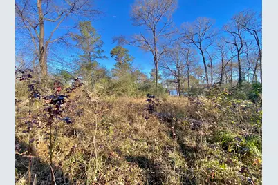 Lot #9 Tall Timber Road, Crockett, TX 75835 - Photo 3