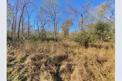 Lot #9 Tall Timber Road, Crockett, TX 75835 - Photo 7