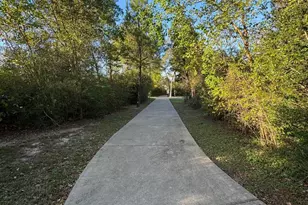 163 Emery Oak Way, Huntsville, TX 77320 - Photo 31