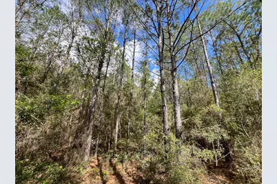 2 Cr 4280, Woodville, TX 75979 - Photo 5