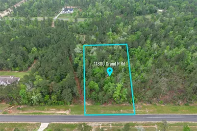 11800 Grand North Road, Willis, TX 77378 - Photo 5