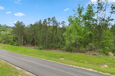 11800 Grand North Road, Willis, TX 77378 - Photo 11