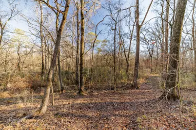 8544 Elberton Highway, Other, GA 30668 - Photo 27