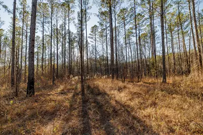 8544 Elberton Highway, Other, GA 30668 - Photo 31