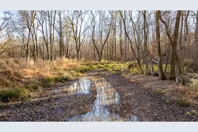 8544 Elberton Highway, Other, GA 30668 - Photo 39