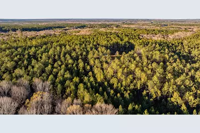 8544 Elberton Highway, Other, GA 30668 - Photo 17