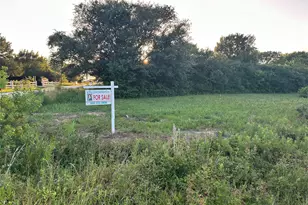 0 Alleda, Prairie View, TX 77445 - Photo 1
