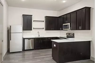 4509 Mount Vernon Street #29, Houston, TX 77006 - Photo 3