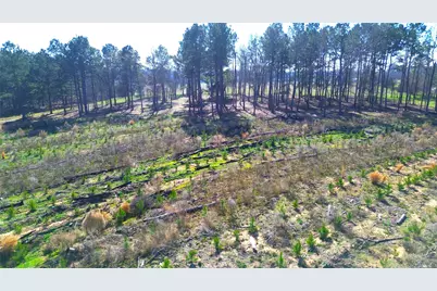 Tbd W State Highway 7, Crockett, TX 75835 - Photo 9