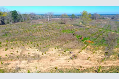 Tbd W State Highway 7, Crockett, TX 75835 - Photo 7