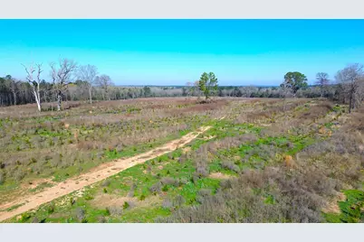 Tbd W State Highway 7, Crockett, TX 75835 - Photo 19