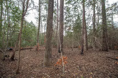 Tbd Gene Autry Trail, Livingston, TX 77351 - Photo 7