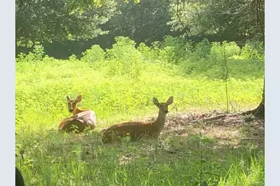 9082 Idaho Lane, Midway, TX 75852 - Photo 5