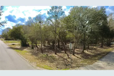 0 Teakwood Avenue, Fresno, TX 77545 - Photo 13