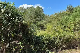 0 Little John Ln, Conroe, TX 77304 - Photo 3