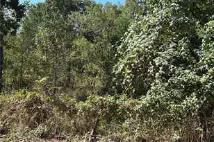 0 Little John Ln, Conroe, TX 77304 - Photo 5