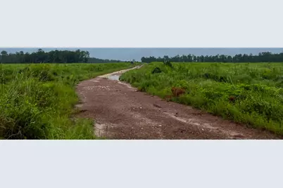 2 Fm 1276, Livingston, TX 77351 - Photo 7