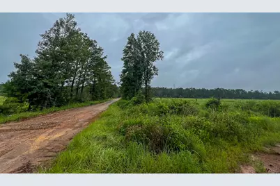 2 Fm 1276, Livingston, TX 77351 - Photo 9